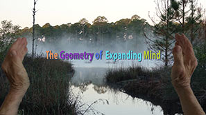 Title of the movie 'The Geometry of Expanding Mind'
