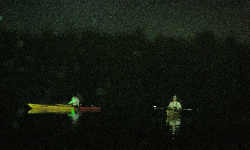 night kayakers