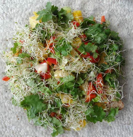 tofu melt with alfalfa seed sprouts