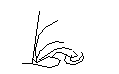 Clump