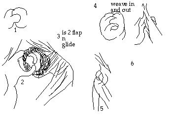hand positions