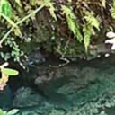 Follow Equinox, 2016 (camping at Blue Springs, FL), 2016-09-21