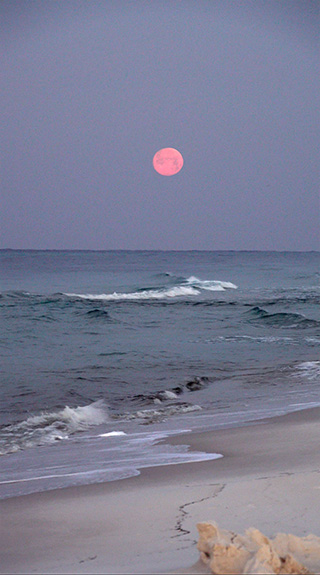 Pink moon about to set over Gulf of Mexico