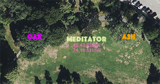 Aerial view of meditation setting between the big old Red Oak tree and the big old White Ash tree on the  hill in Maplewood Memorial Park, NJ