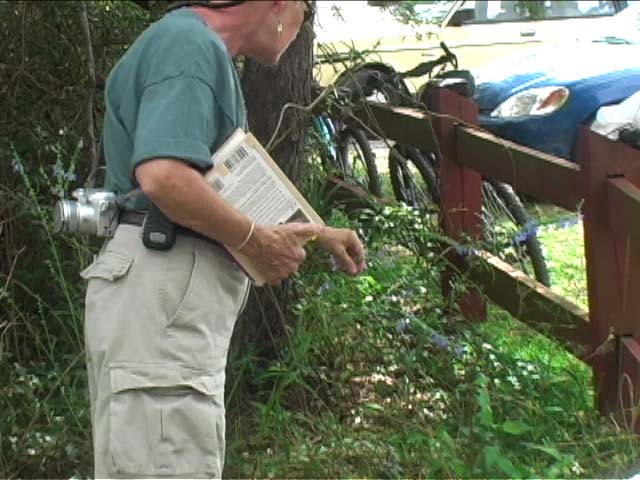 2006 fence