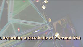 Breathing Tetrahelix of 3-Strand DNA