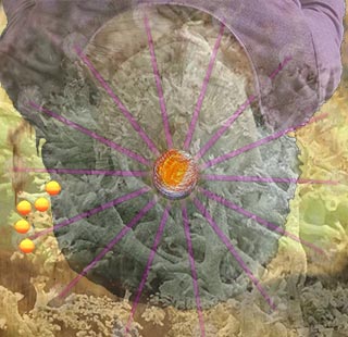 Study for coordination of iSun and deer lichen energy generation