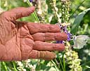 Our Hands