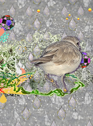 Snowy plover circling in Woman's Kundalini vision with concentrated cone communication elements