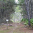 Advanced Equinox 2018 forest campsite location, 2018-03-14