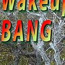 Wakeup bang dream vision of blast in face