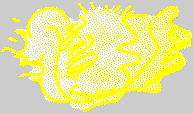 Iris CLB