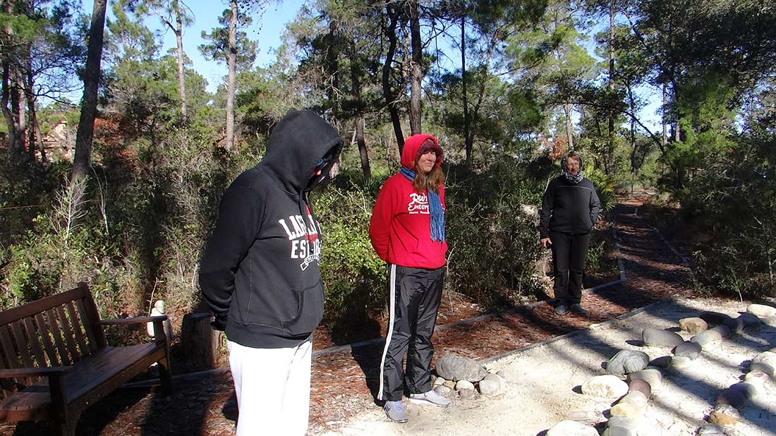 Wild Heron Preserve Labyrinth