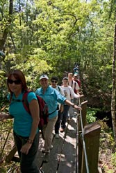 Hikers on one of the excellent bridges over Econfina Creek
