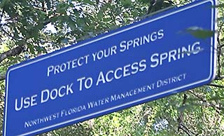 Protect your spring, 2016-08-07