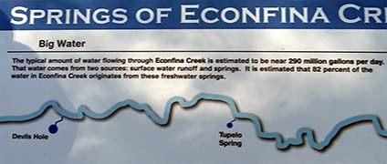 Springs of Econfina 1