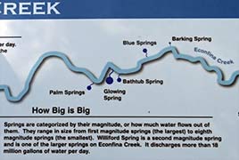 Springs of Econfina 2