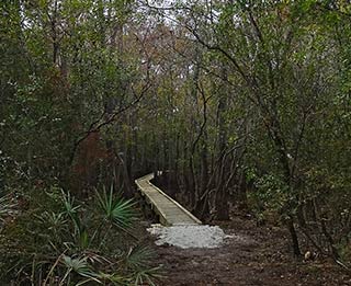 Cypress Creek Bridge, CRS section of Florida National Scenic Trail