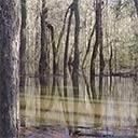 Florida Trail, CRS Cypress Creek bridge when flooded, wet and dry in photos and quick video, 2017-01-11