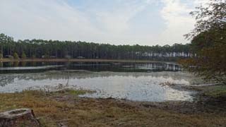 Sand Pond in Pine Log State Forest
