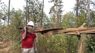 Logs used for posts to hold blazes where there are no trees