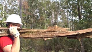 Side view of the log on its way to a post hole
