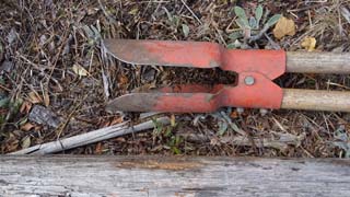 Log and post hole digger ready for action