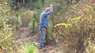 Post hole digger