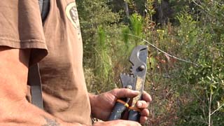 Lopping tool