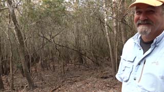 Tim Crews took me on a tour of the newly completed boardwalk that bridges Cypress Creek