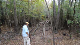 Tim looking at the original creek crossing. When I was here a few years ago, the water was higher and we crossed balancing on a log
