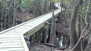 The creek is low since it has not rained for weeks