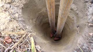 Finished hole comes up to the line on the handle of the digger