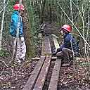 bog bridge building on Florida Trail