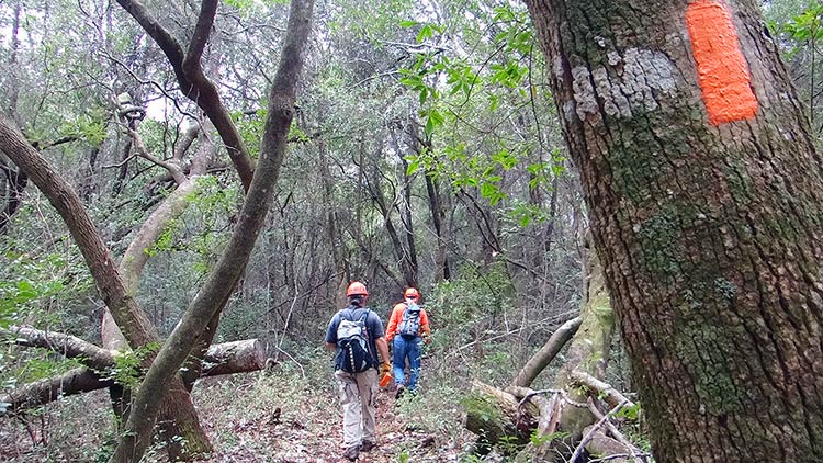 Thru-hikers Salty, Sara and Duke headed west on the Florida Trail
