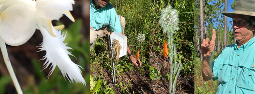 John Bente on an Orchid Tour explaining the night vision and growth of White Fringed Orchids