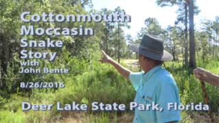 Cottonmouth Moccasin Snake Story