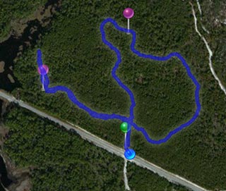 Nature Trail hike