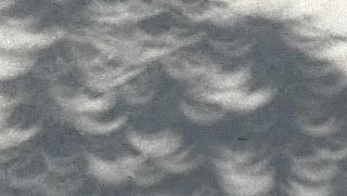 Crescents'