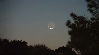 8-20 day before new moon