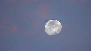 8-10 moon