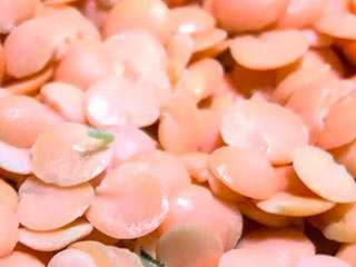 Sprouted lentils