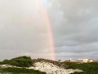 Rainbow W end