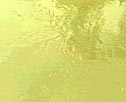 Ester gilded