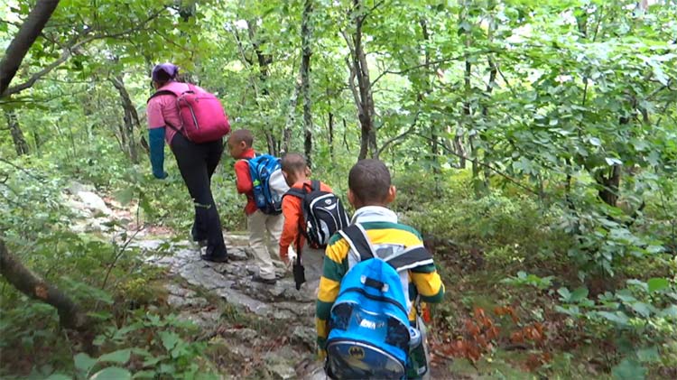 hikers going up the trail