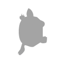 Pond turtle