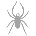 spider
